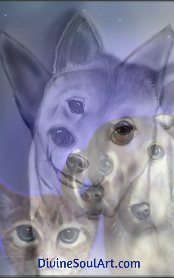 pixanimals