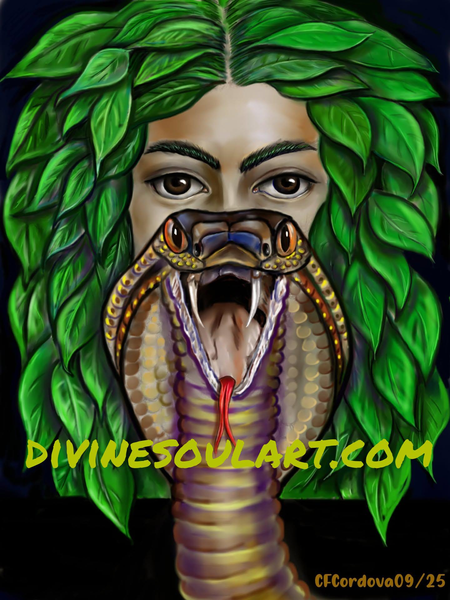 ayacobra ayacobra